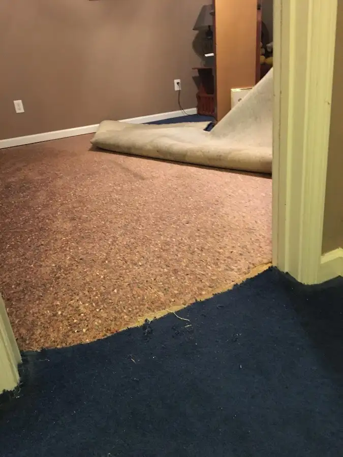 Carpet pad removal revealing water damage during Drying & Dehumidification in Walnut Ridge