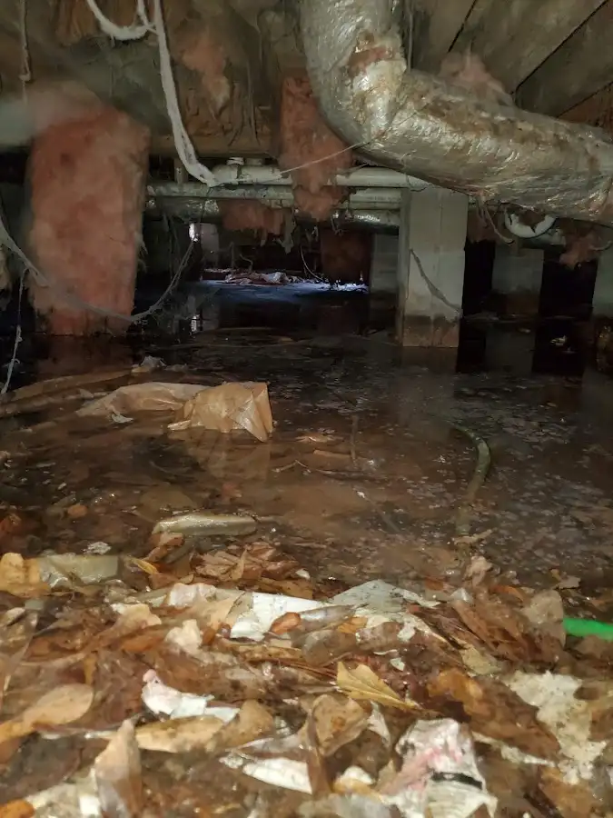Crawl space flood assessment for Leak Detection & Repair in Walnut Ridge